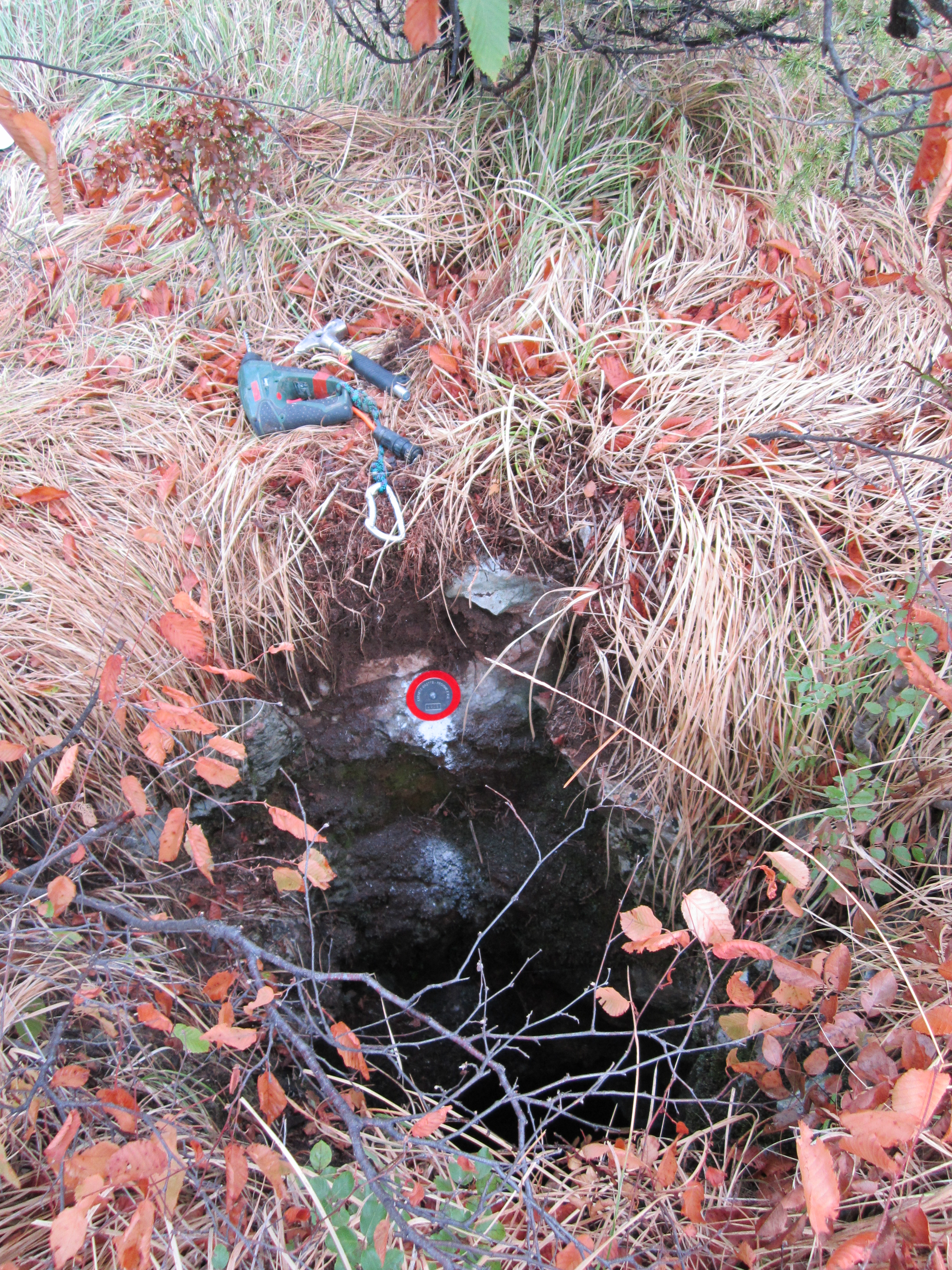 descrizione immagine