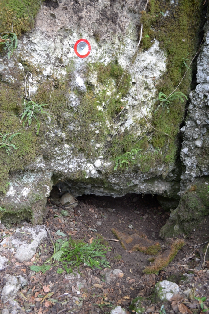 descrizione immagine