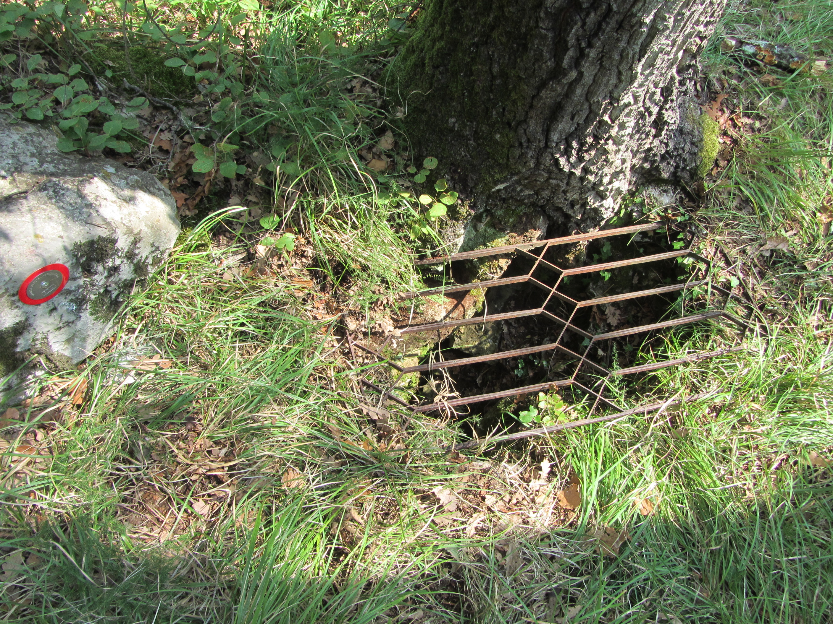 descrizione immagine