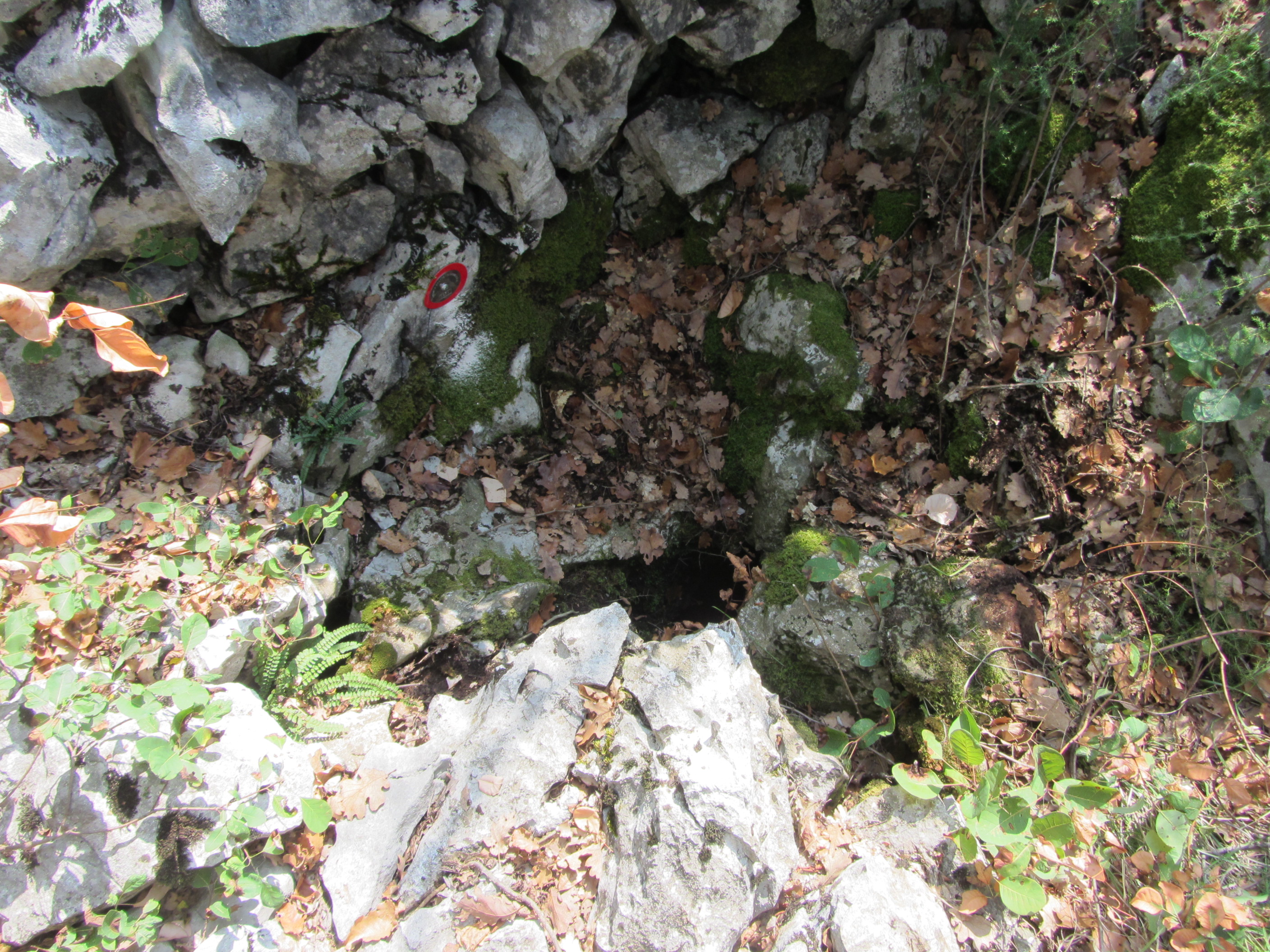 descrizione immagine