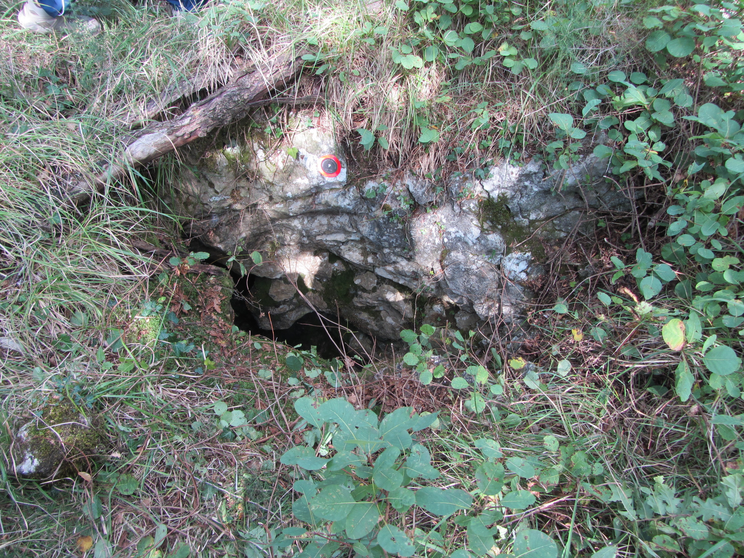 descrizione immagine