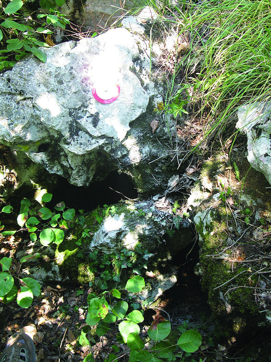 descrizione immagine