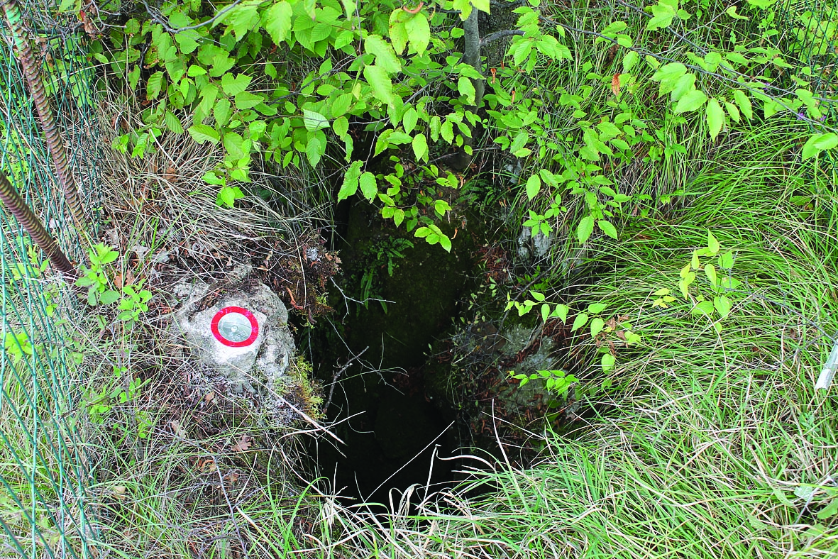 descrizione immagine