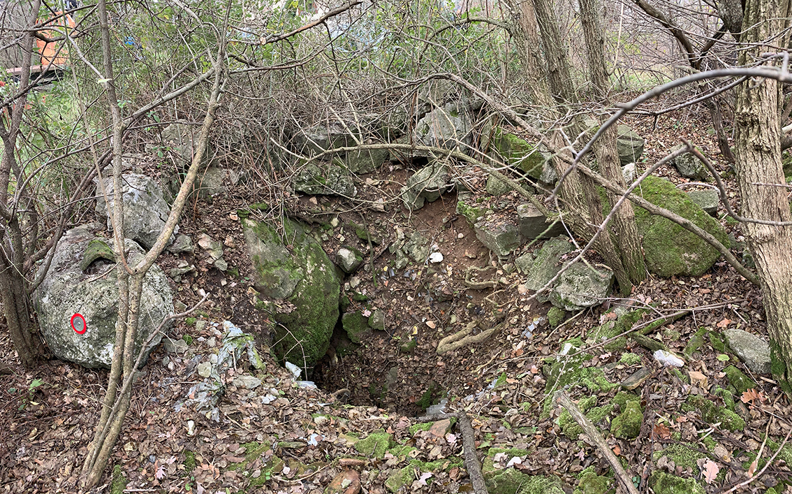 descrizione immagine