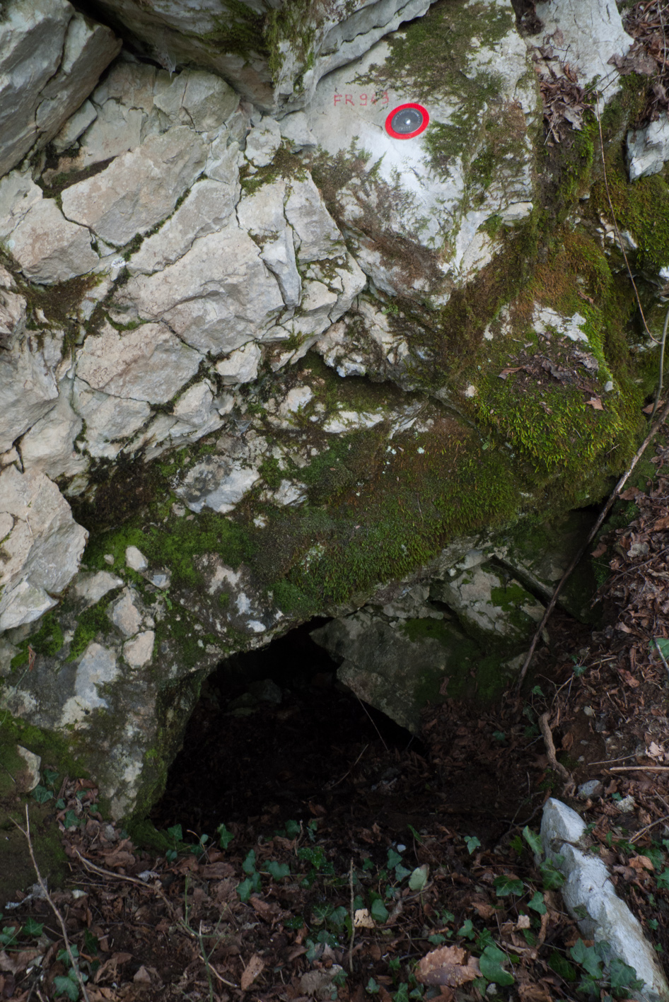 descrizione immagine