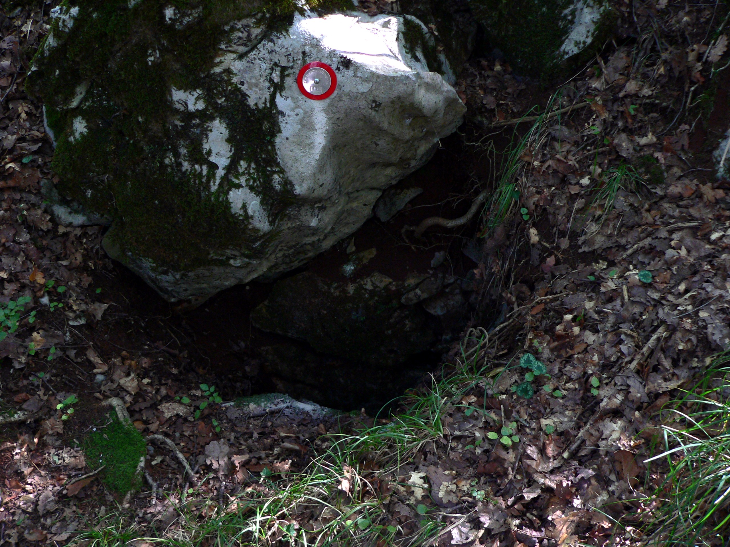 descrizione immagine