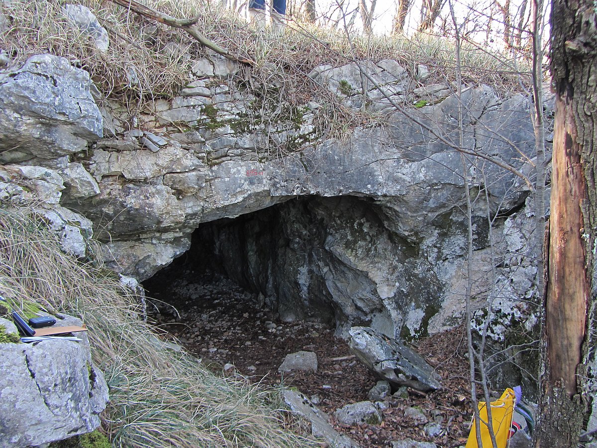 descrizione immagine