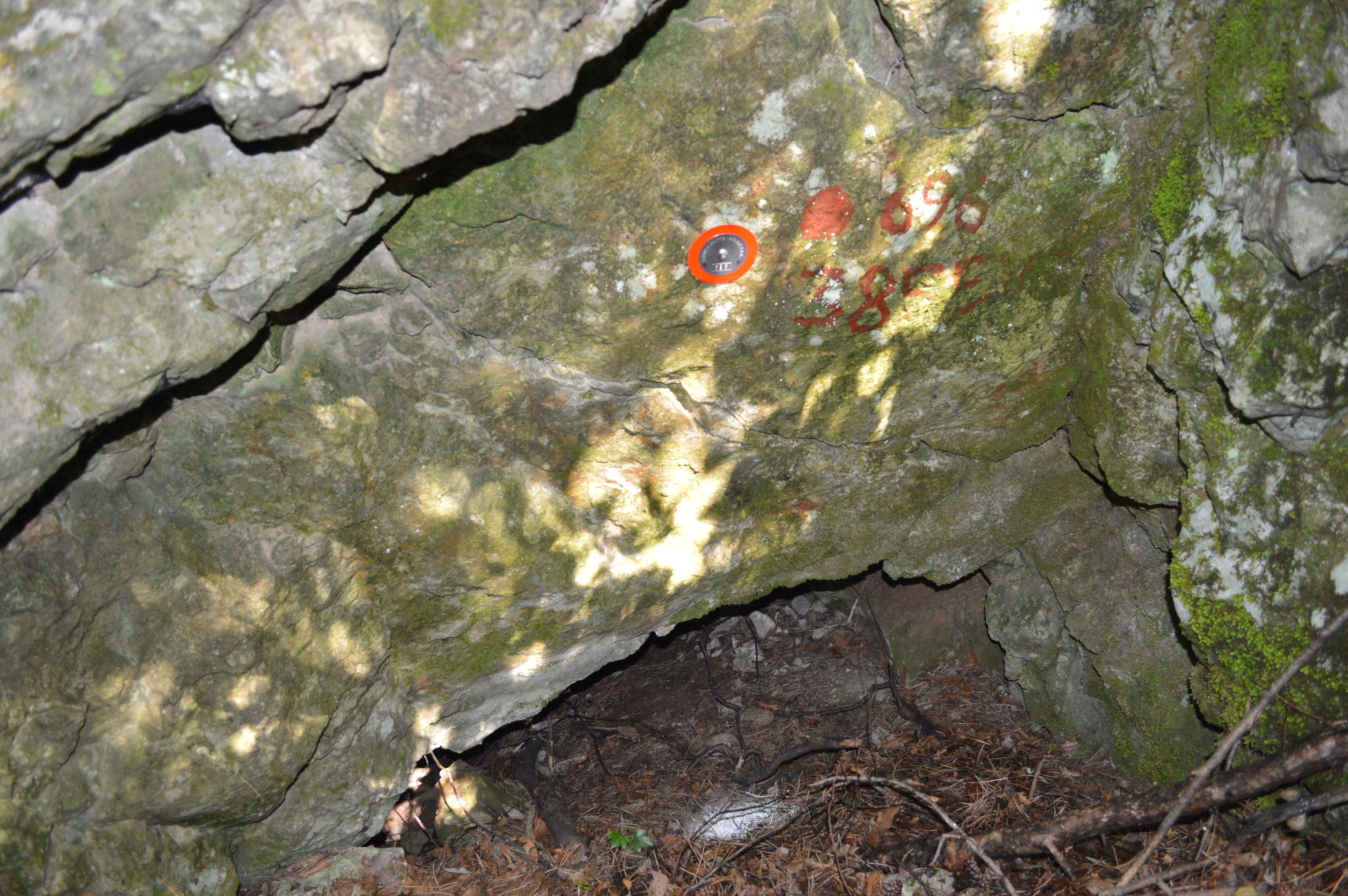 descrizione immagine