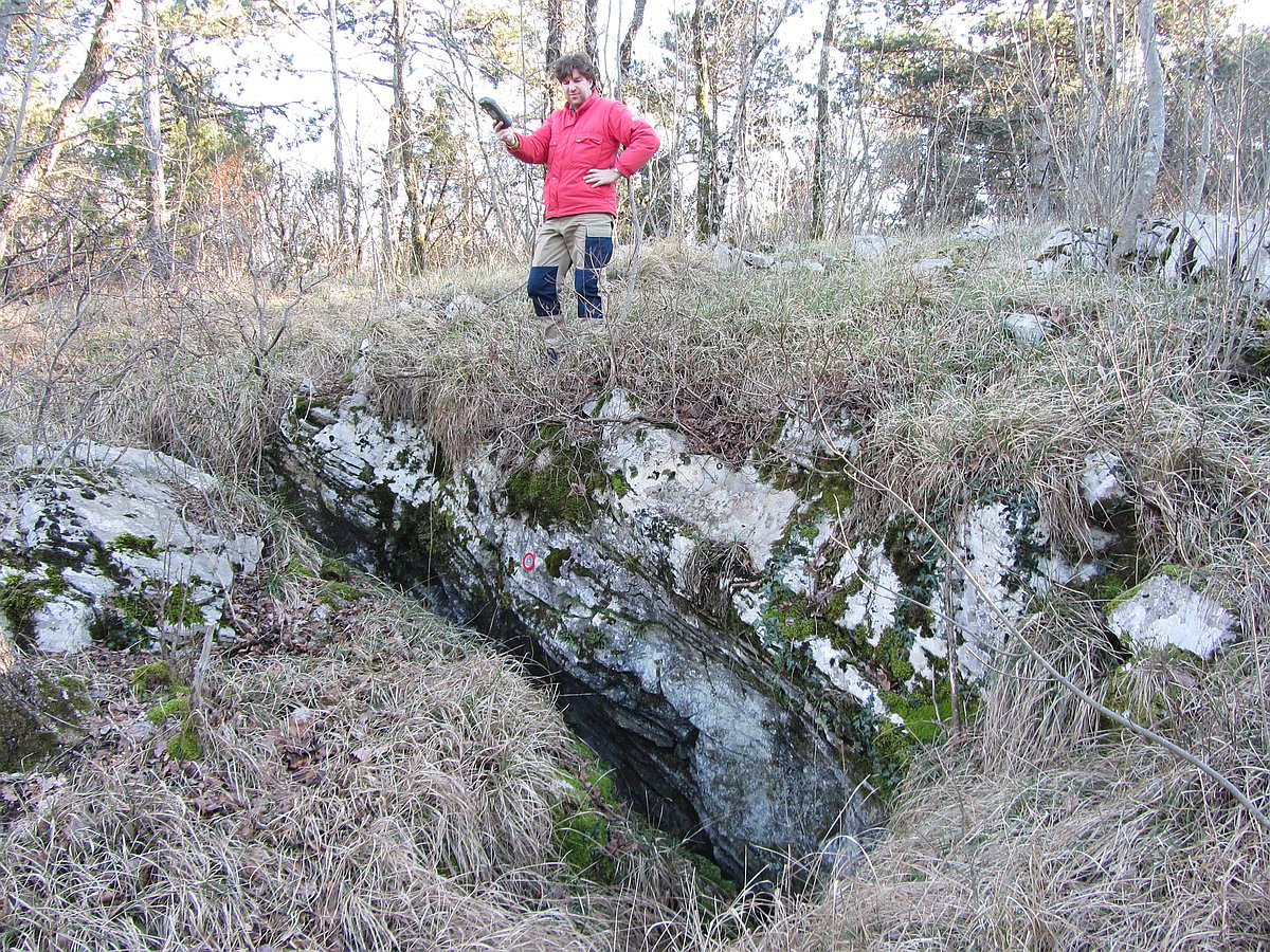 descrizione immagine