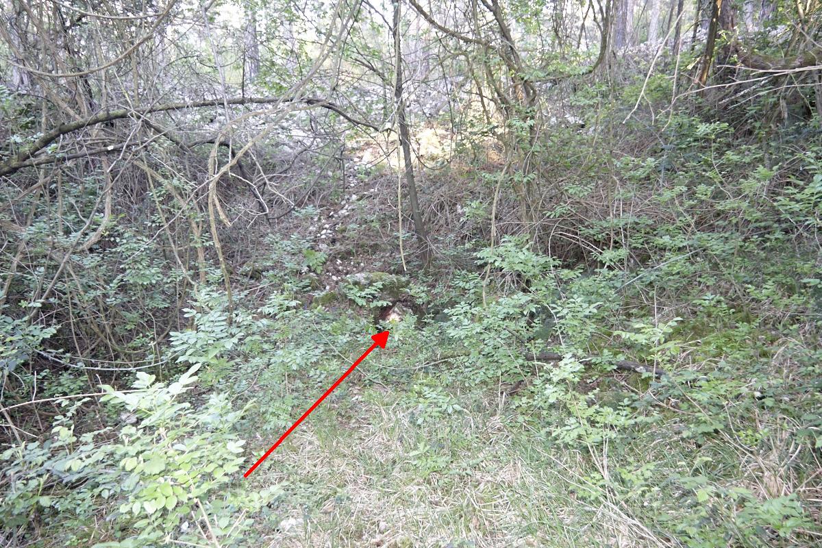 descrizione immagine