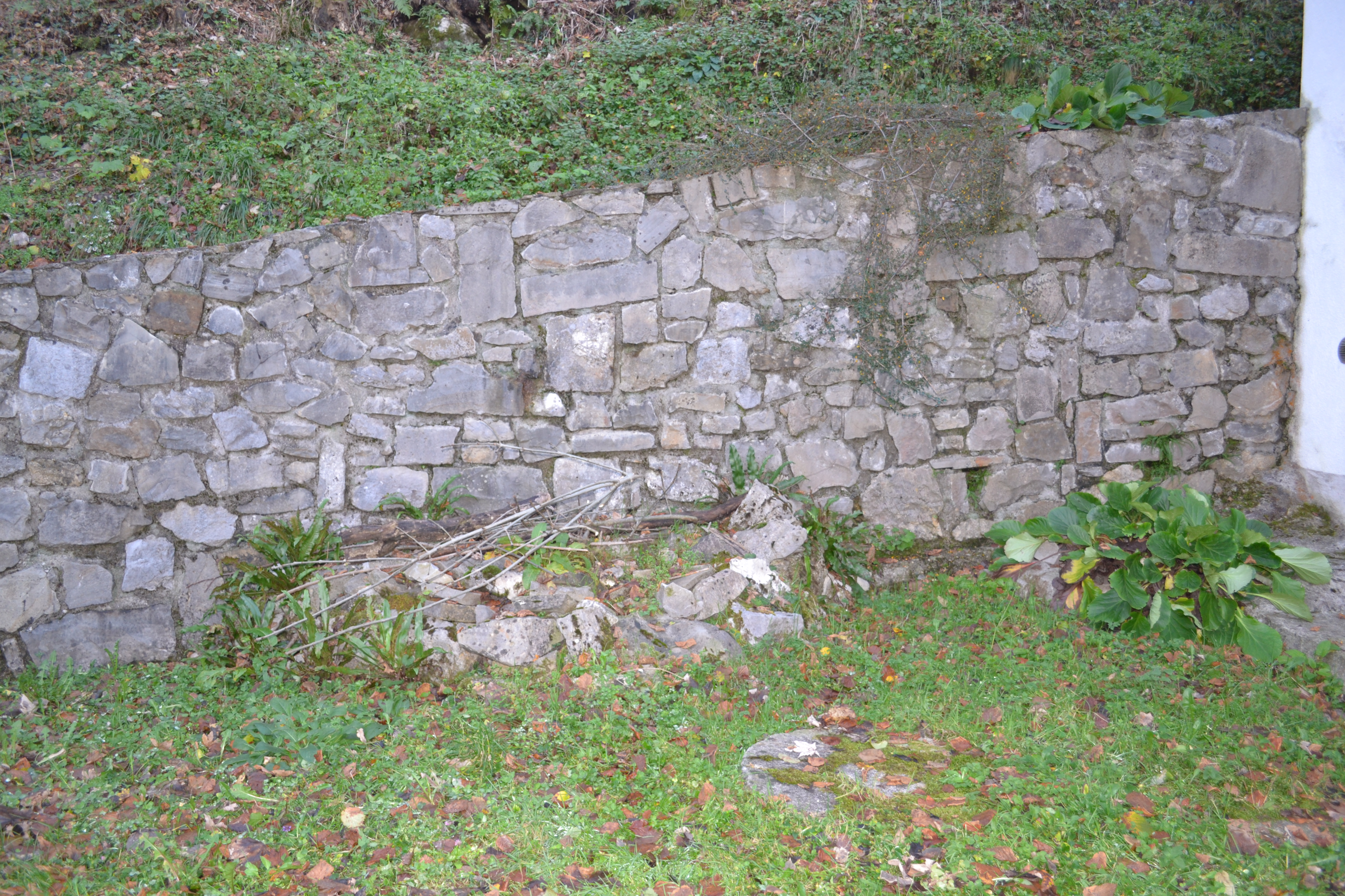 descrizione immagine