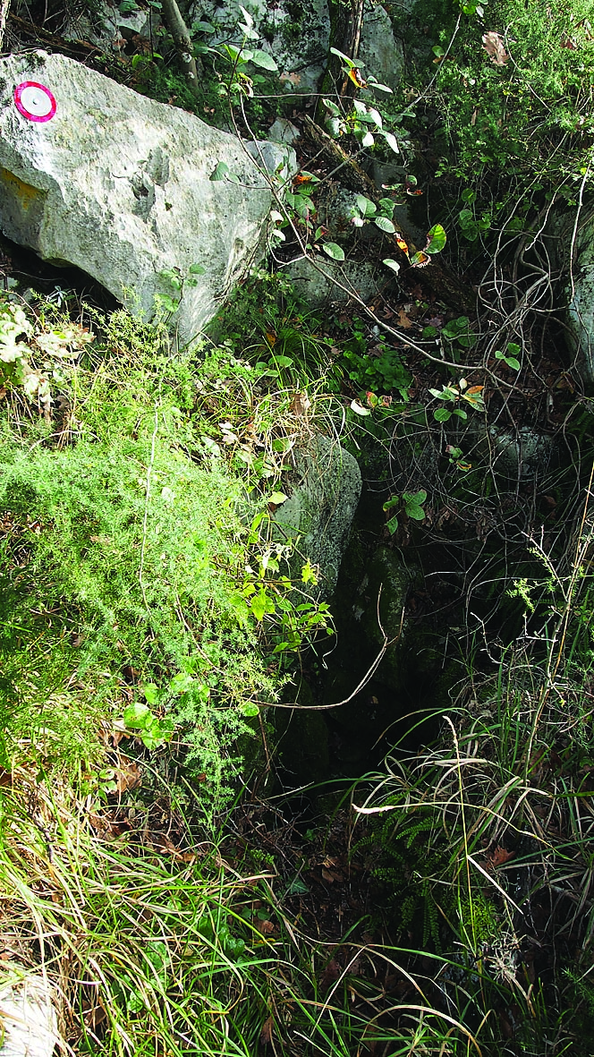 descrizione immagine