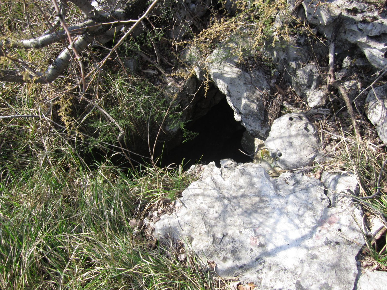 descrizione immagine