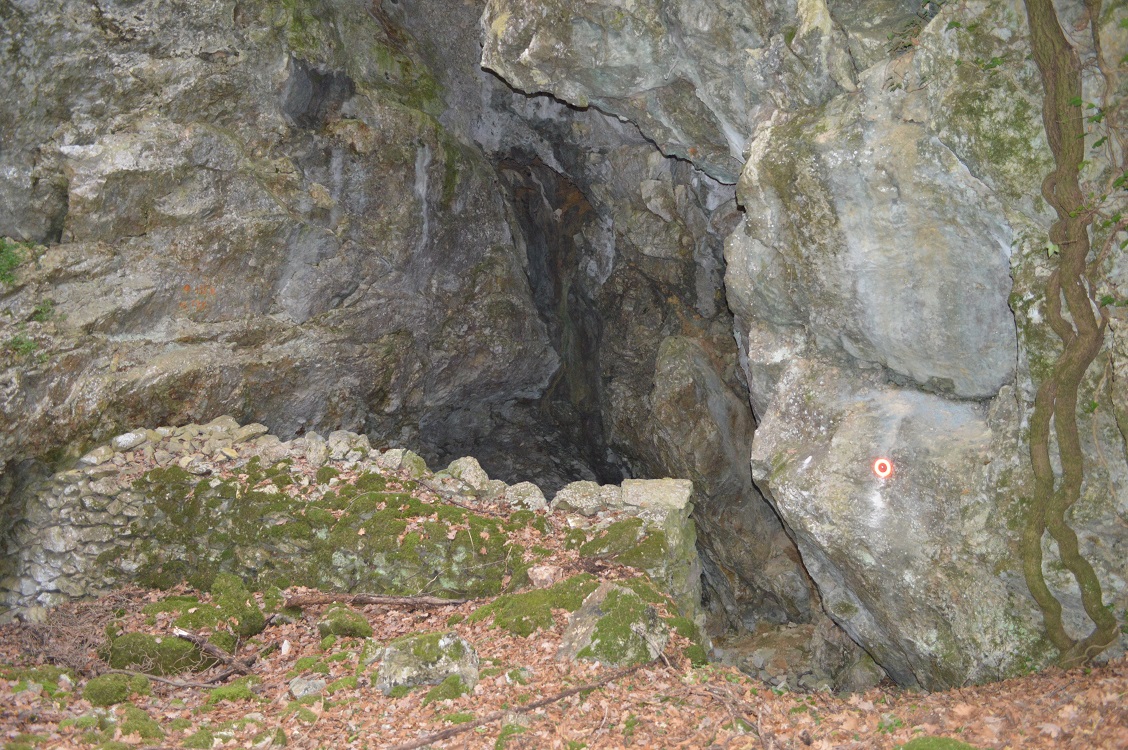 descrizione immagine