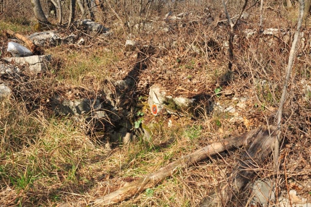 descrizione immagine