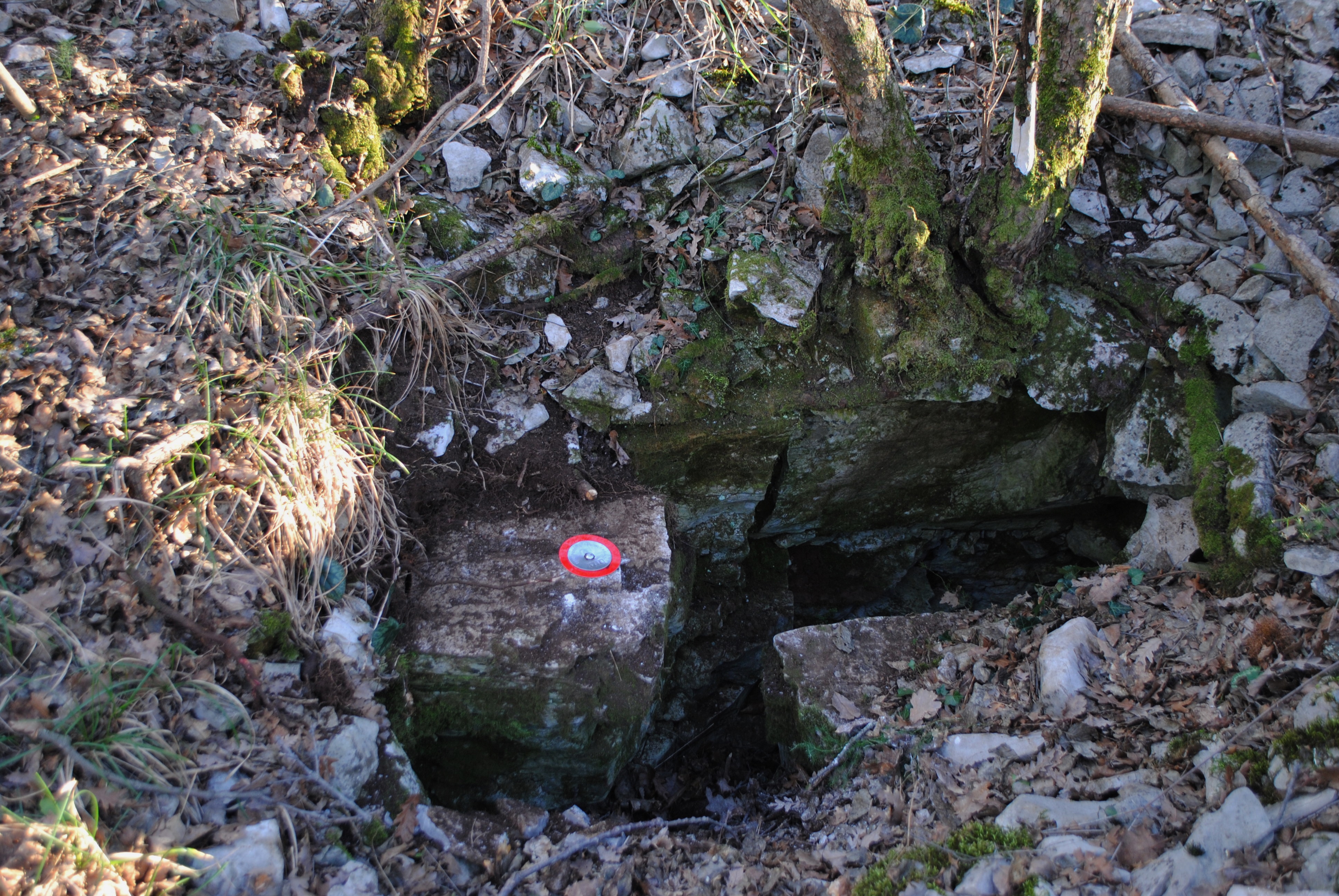 descrizione immagine