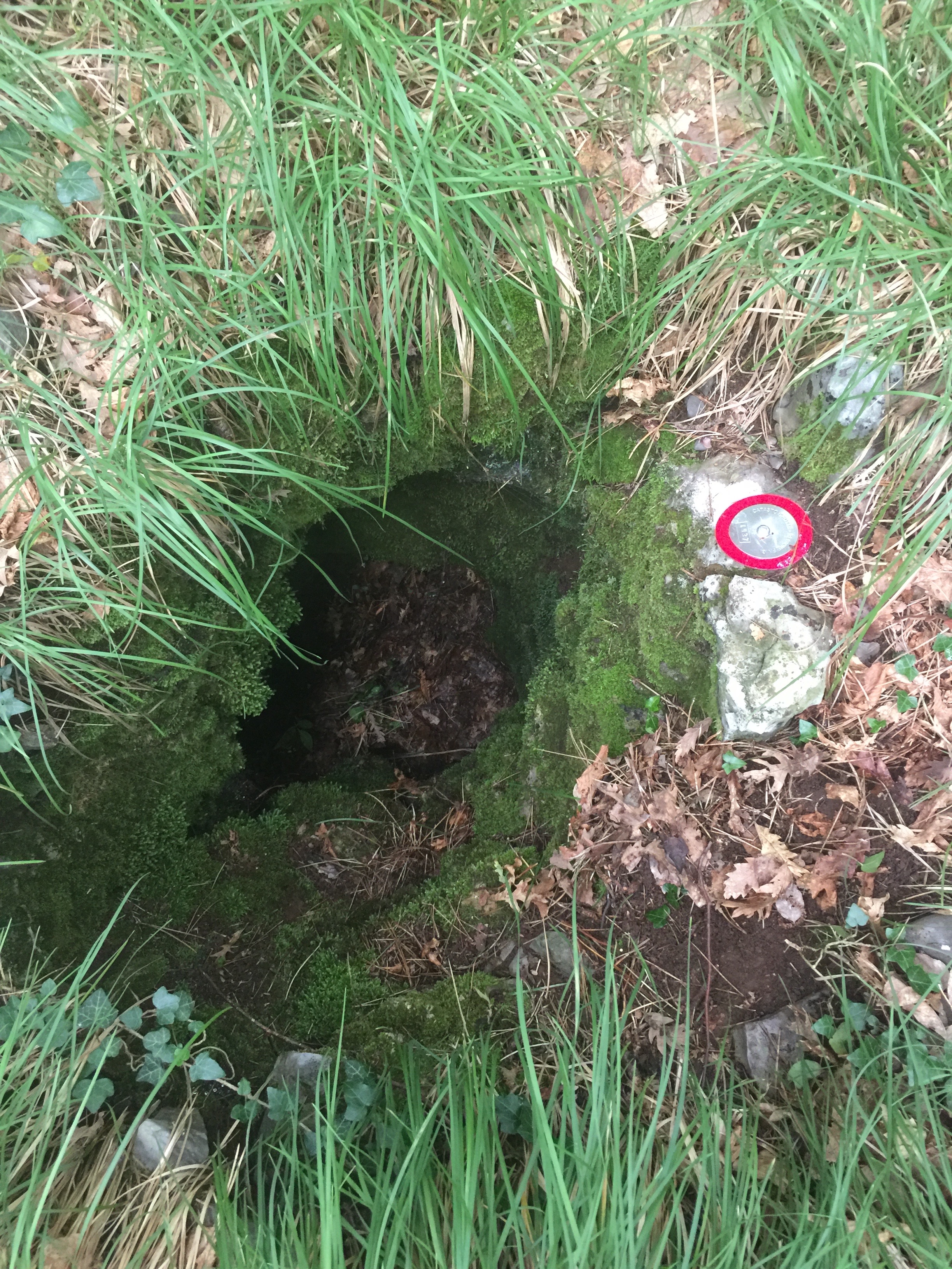 descrizione immagine