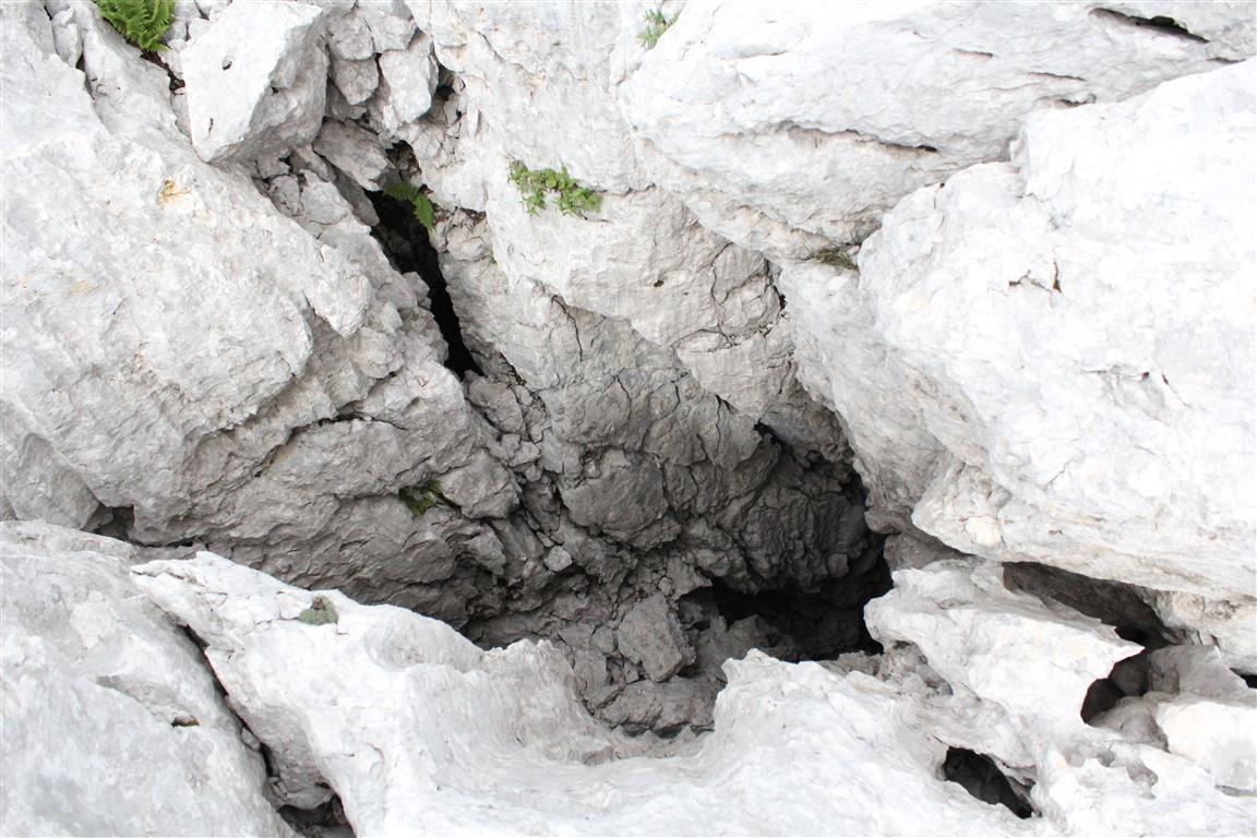 descrizione immagine