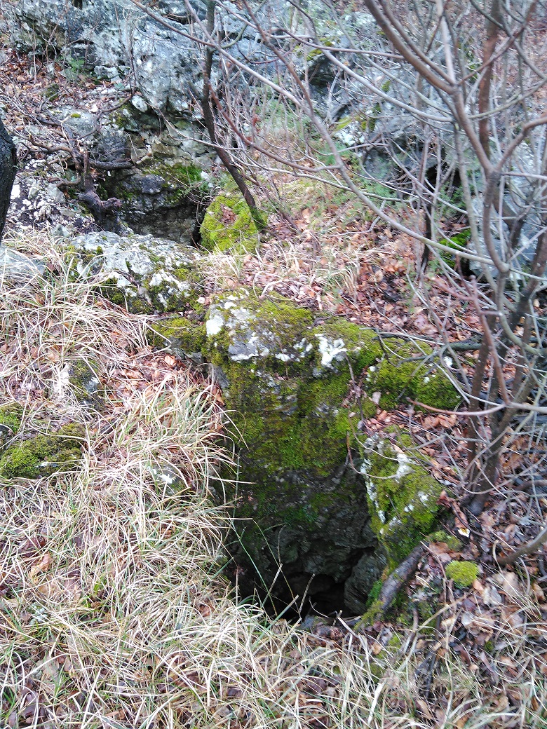 descrizione immagine