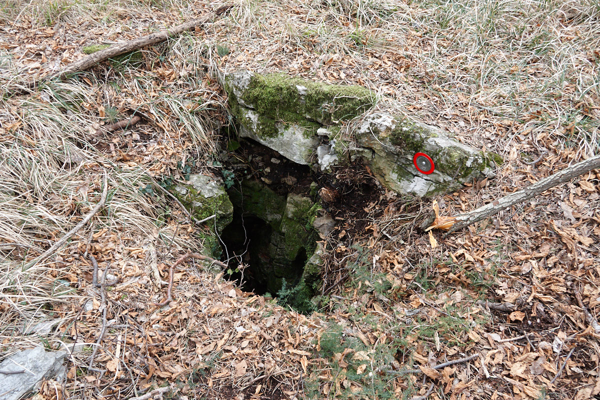 descrizione immagine