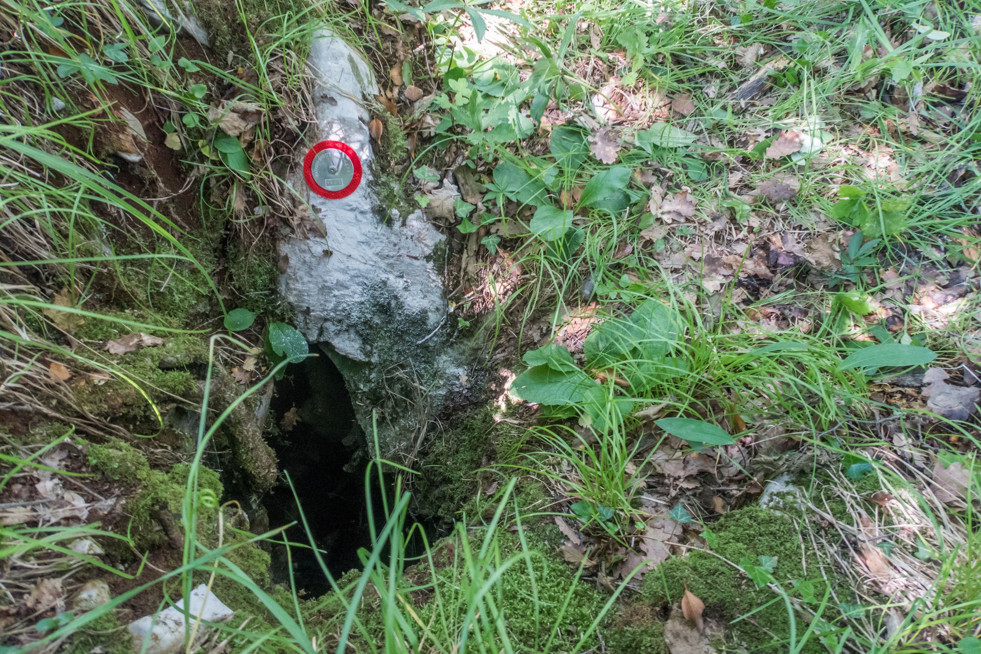 descrizione immagine