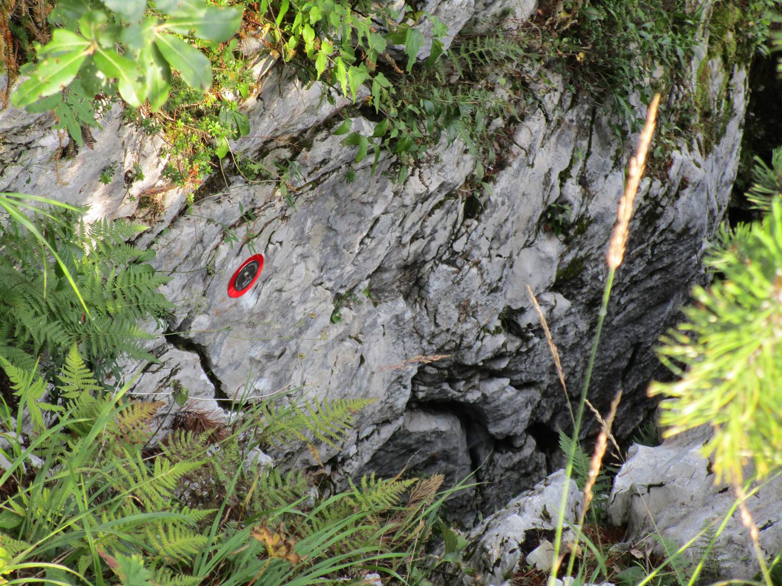 descrizione immagine