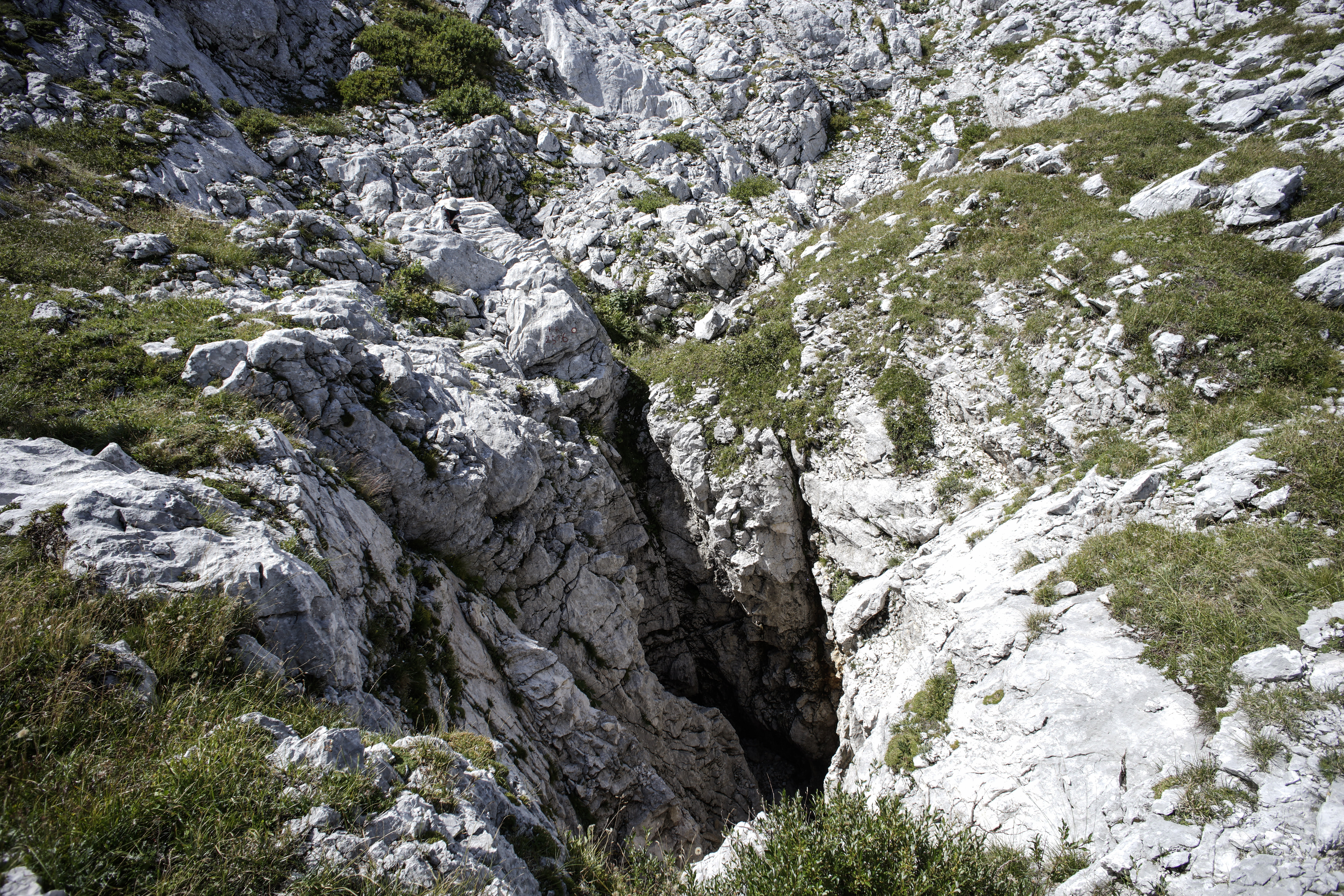 descrizione immagine