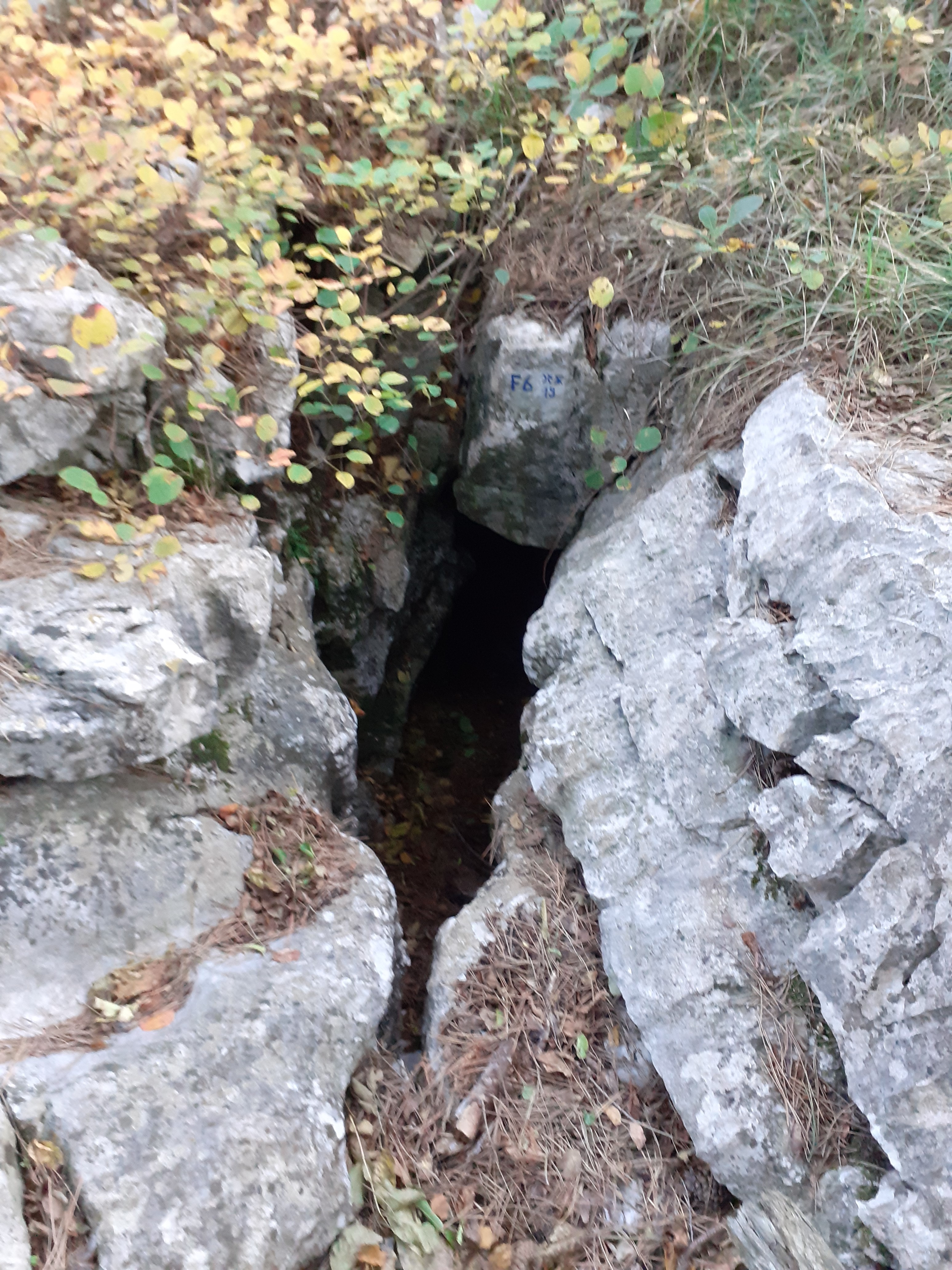 descrizione immagine