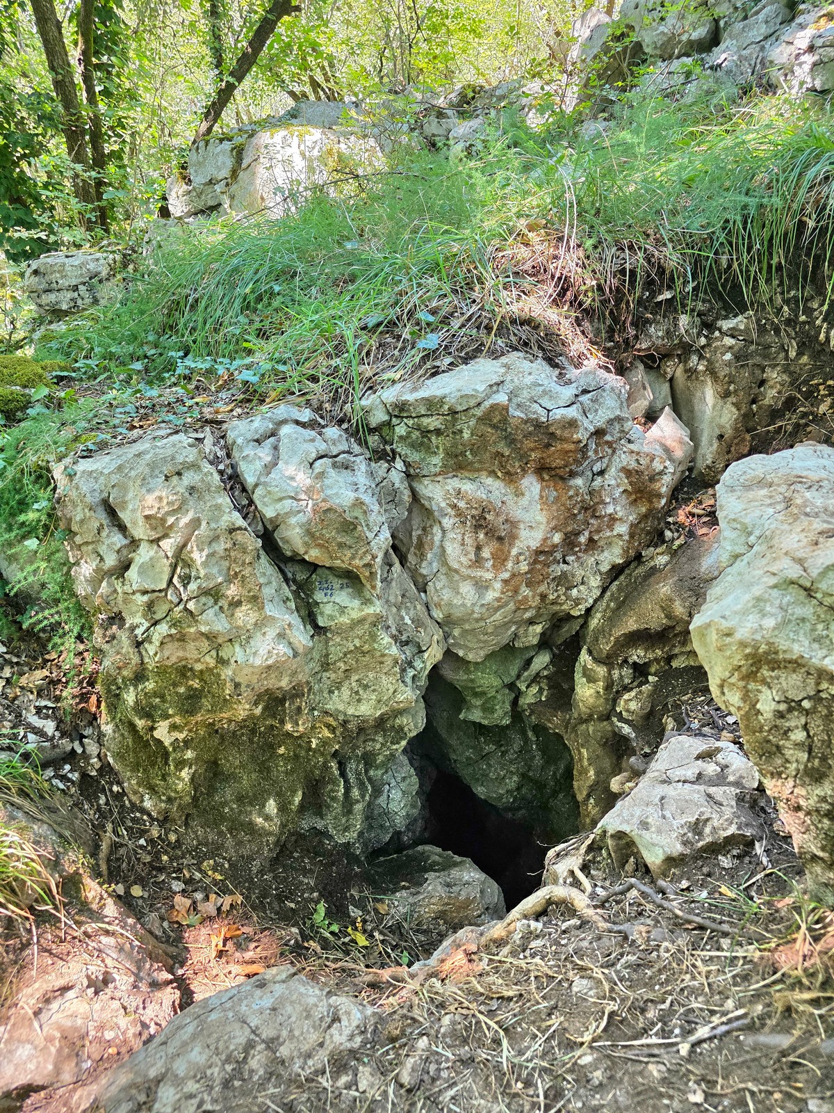 descrizione immagine