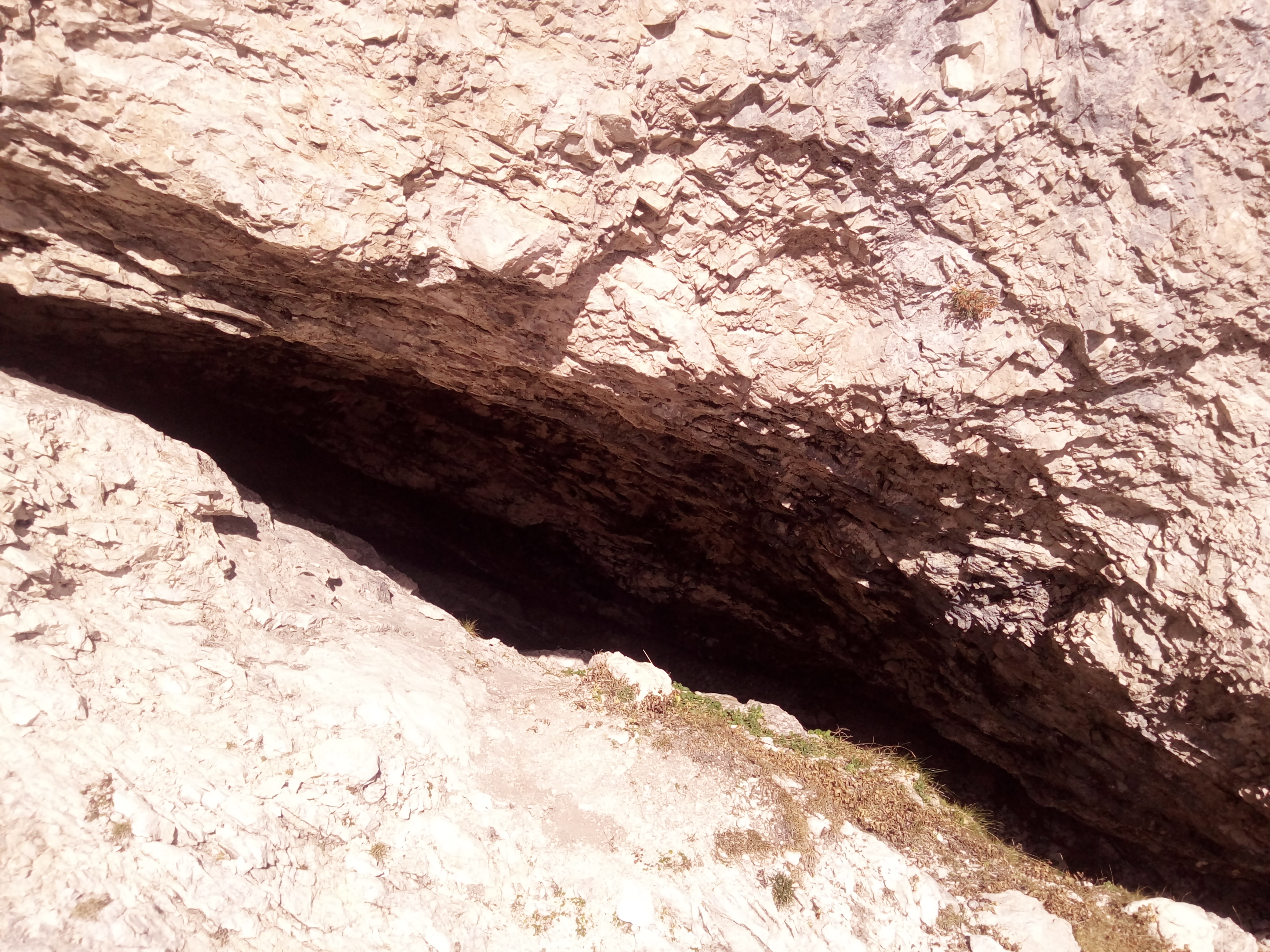 descrizione immagine