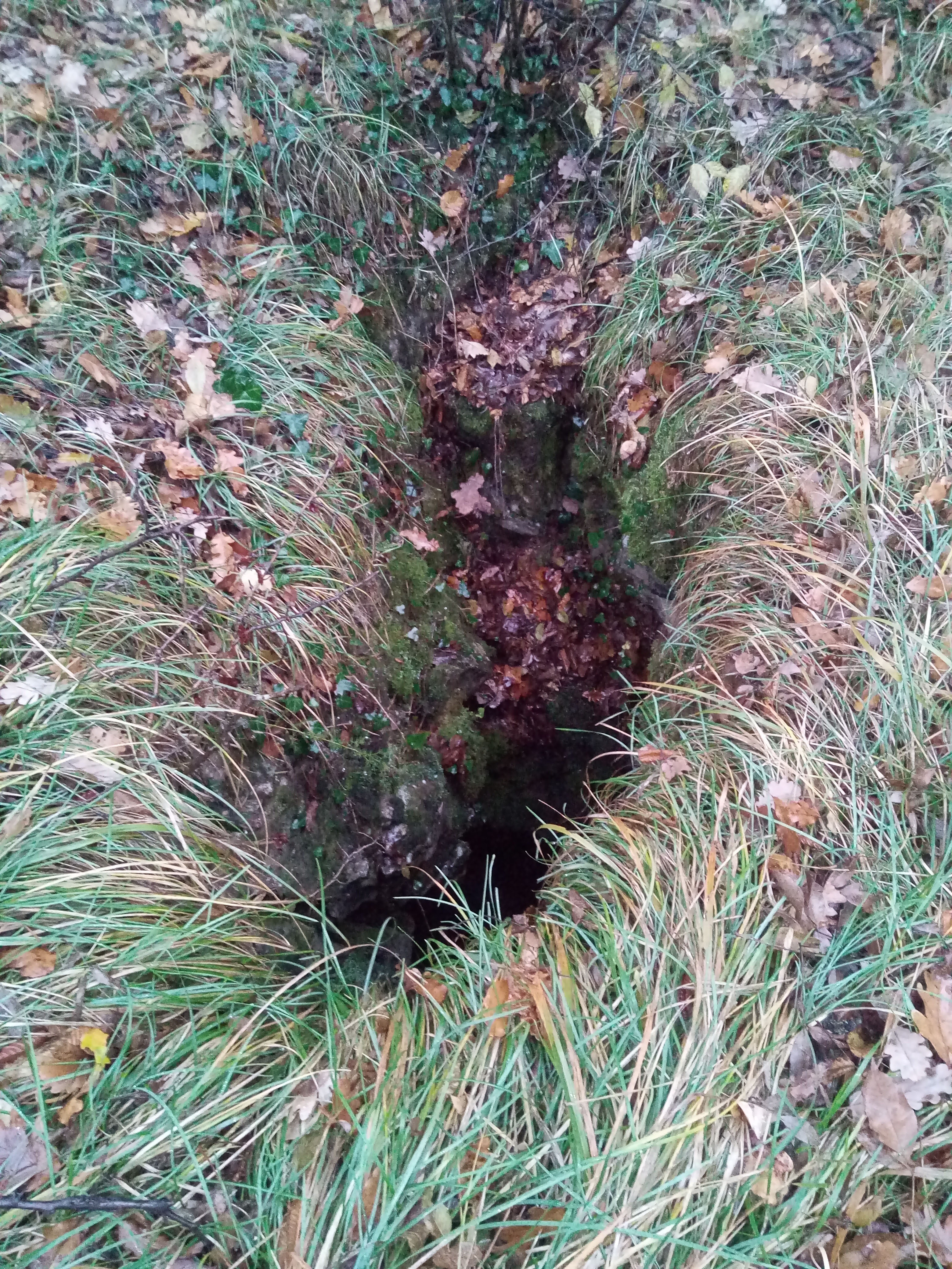 descrizione immagine