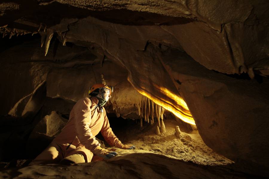 Grotta Doviza, particolare di concrezione a vela - Tiziana Angotzi (GRIF)