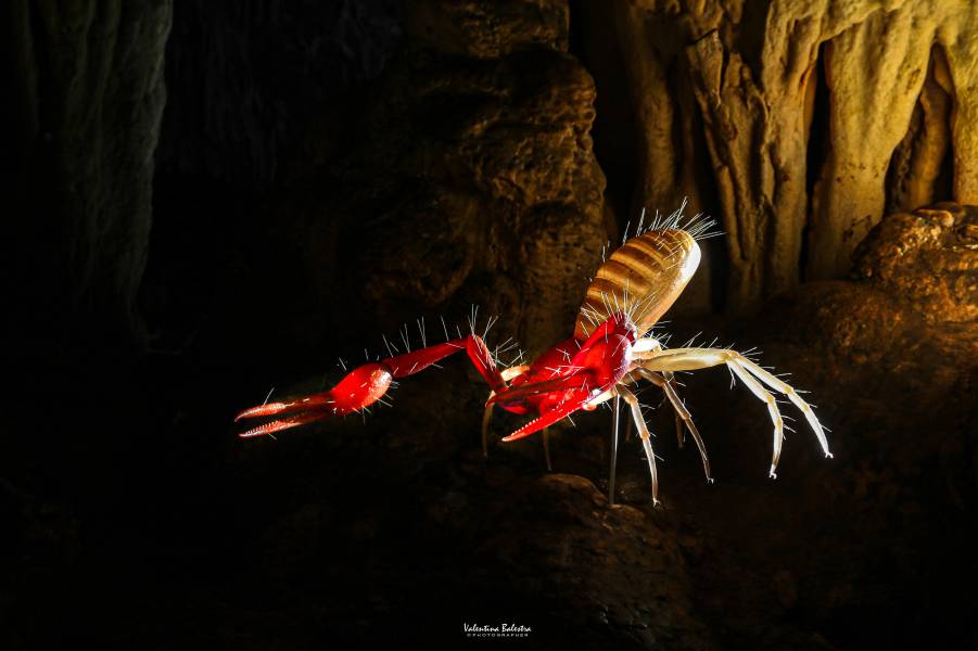 Grazie ai contributi della Regione la scienza entra alla Grotta delle Torri di Slivia